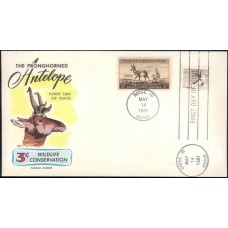 1886 Fluegel; unserviced blank for #1078-M8 1886 Fluegel; unserviced blank for #1078-M8