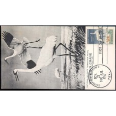 1098 M32 Corpus Christi Junior Museum; First 1098 M32 Corpus Christi Junior Museum; First