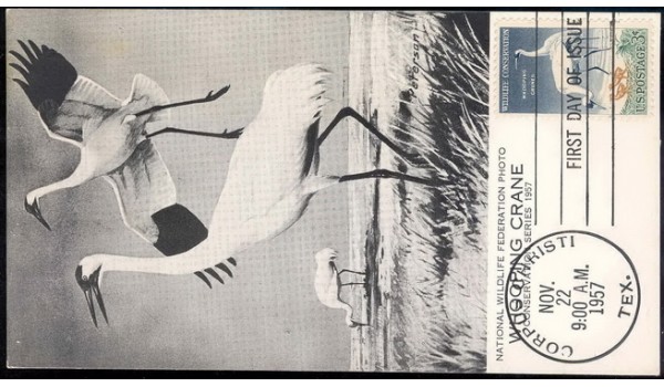 1098 M32 Corpus Christi Junior Museum; First