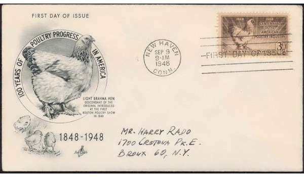 0968 Poultry, Artcraft