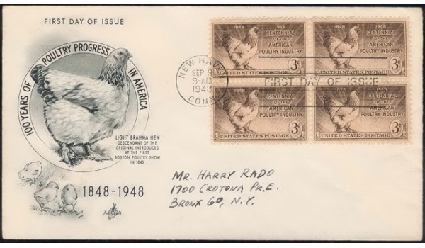 0968 Poultry, Artcraft