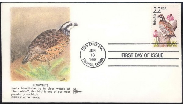 2351 Gill Craft; Bobwhite